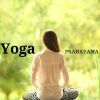 Download track The Thousand Petal Lotus (Shiatsu Massage)