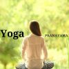 Download track The Kundalini Yoga Teacher