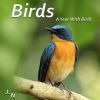 Download track Birds In Tropical Park