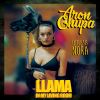 Download track Llama In My Living Room