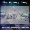 Download track Norge Nights