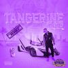 Download track Purple Tiger Intro (Chopnotslop)