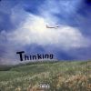 Download track THINKING...