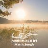 Download track Mystic Jungle Part 1