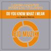 Download track Do You Know What I Mean (Original Mix)