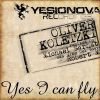 Download track Yes I Can Fly (Michael Sarnat Aka Mike Del Saar Remix)