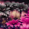 Download track Beauty From The Deep