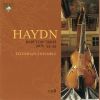 Download track Baryton Trio No. 58 In D Major Hob. XI: 58 - II. Menuet