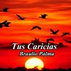 Download track Tus Caricias