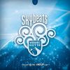 Download track Skybeats 1 - Continuous DJ Mix