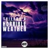 Download track Horrible Weather (Tezza Dee Remix)