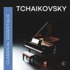 Download track Tchaikovsky- Serenade For Strings In C Major, Op. 48, TH 48- II. Walzer. Moderato - Tempo Di Valse