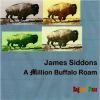 Download track A Million Buffalo Roam