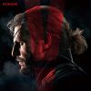 Download track Stefanie Joosten / Quiet's Theme