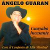 Download track Guayabo Incesante