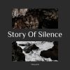 Download track Story Of Silence