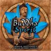 Download track Buddha Spirit