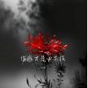 Download track 那我祝你如愿以偿