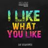 Download track I Like What You Like (Radio Mix)