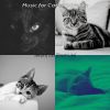 Download track Chilled (Relaxing Cats)