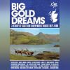 Download track Big Gold Dream