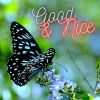 Download track Good And Nice