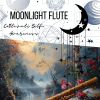 Download track Flute For The New Age - Rainfall Song