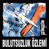 Download track Beynim Zonkluyor