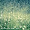 Download track Rainy Day In The Forest - Seoul, Pt. 1