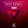 Download track Whales In Mirrisa (Luciano Scheffer Remix)