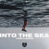 Download track Into The Sea