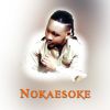 Download track Nokaesoke