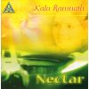 Download track Raga Bihagada - Gat In Roopak Taal