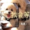 Download track 我会等 (吉他女生版伴奏)