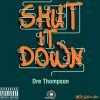 Download track Shut It Down