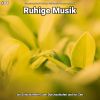 Download track Ruhige Musik Pt. 64