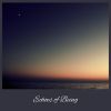 Download track Amanecer En La Quietud