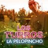 Download track La Pelopincho