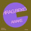 Download track Awake