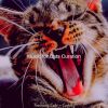 Download track Playful (Kittens)