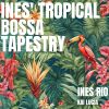 Download track Bossa Weaves Of Joy