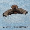 Download track Hawk Is Listenin'