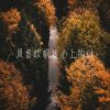 Download track 风曾吹响我心上的叶 (伴奏)