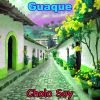 Download track Cholo Soy