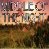 Download track Middle Of The Night - Tribute To The Vamps And Martin Jensen (Instrumental Version)