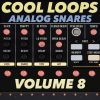 Download track Cool Loops Snare 116