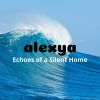 Download track Echoes Of A Silent Home