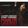 Download track Mahler - Symphony No. 5, I. Trauermarsch
