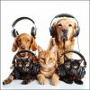 Download track Soft Pets Sounds