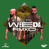 Download track Weeda (Borchi & Dj Caution Remix)